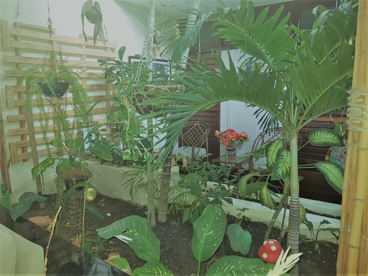 Maceió Pousada Terra Garrida מראה חיצוני תמונה